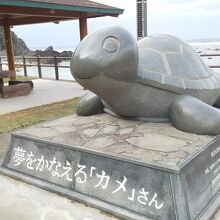 かめをいじめてはいけません