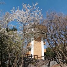 八ツ面山公園