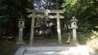 樹木が生い茂り境内は薄暗い雰囲気でした。曇り空で冬だったからかもしれません。