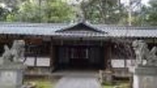 境内は犬の散歩禁止という表示がありました。