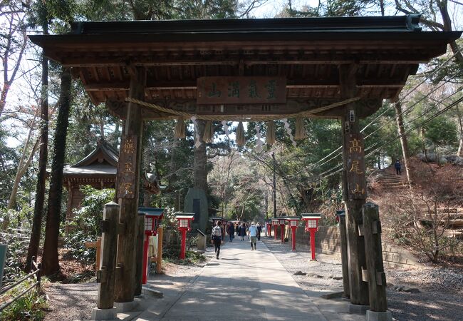 高尾山の杉並木 クチコミ アクセス 営業時間 高尾 八王子 フォートラベル