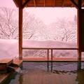 温泉宿の雪景色は、やっぱりイイデス！