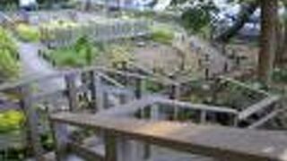 階段がたくさんある自然公園