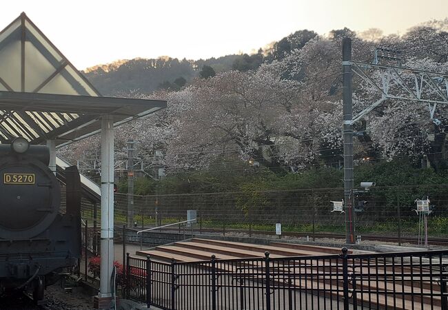 桜の名所でもあります