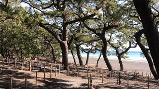 是非！晴れて富士山の見える日に行って下さい。