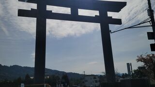 桜満開の大神神社さん