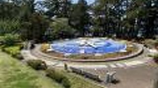 大きいには大きいが・・