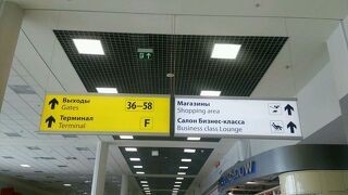 ロシア　シェレメチェボ空港