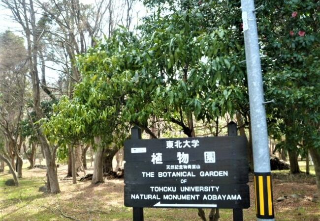 東北大学植物園;植物園としては初)天然記念物`青葉山`に