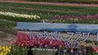 にゅうぜんフラワーロード