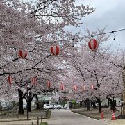 高崎城址は花見の名所