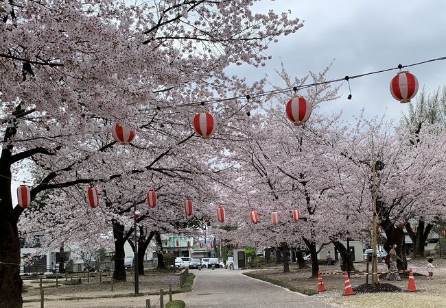 高崎公園 クチコミ アクセス 営業時間 高崎 フォートラベル