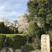 桜の名所です