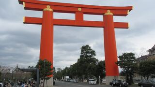 雨のしだれ桜を観賞しました