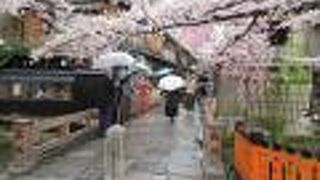 白川に架かる有名な橋です