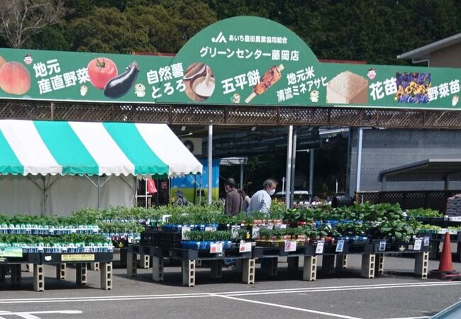 グリーンセンター (藤岡店)