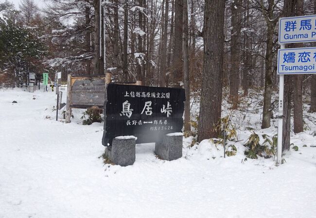 鳥居峠 (群馬・長野県境)