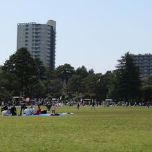 広い芝生園地や運動場もある公園です。