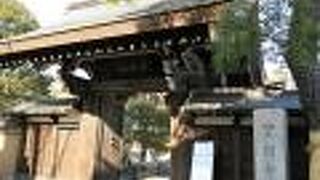 山門横の松にカラフルな鳥がいました