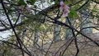 玻璃工芸博物館