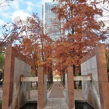 「COSMIC ELEMENTS」