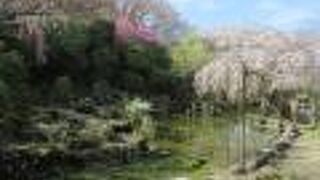 池泉回遊式庭園があります