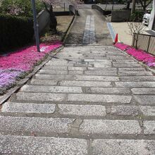 行く途中に降りた階段