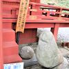 戦地に出征する兵士の御守として削られ原形をとどめない狛犬が鎮座しています。