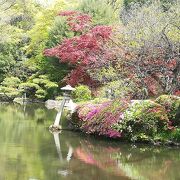 庭園のような公園です。