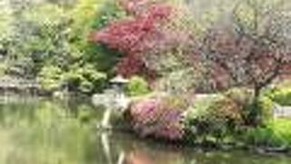 庭園のような公園です。