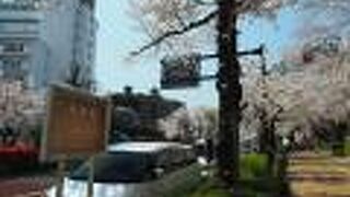 緑道と桜が綺麗な坂道