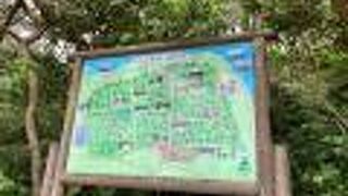 放置されているような展望台