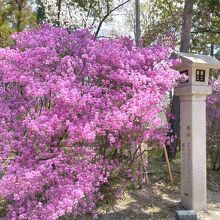 廣田神社