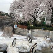 東武動物公園