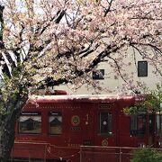 ローカル列車に桜吹雪！