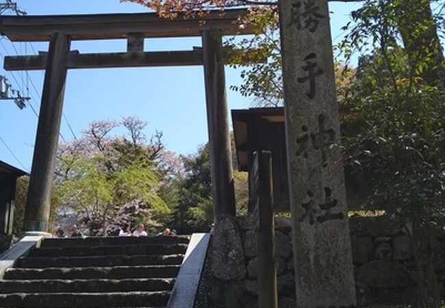 本堂はなくても良いお花見の広場に