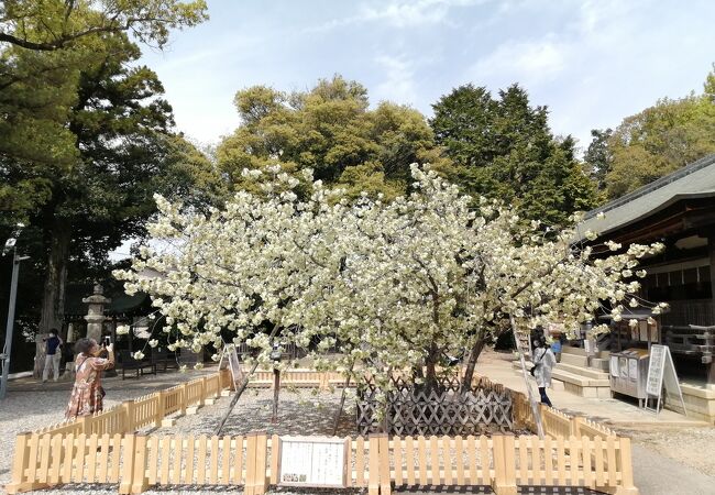 上地八幡宮