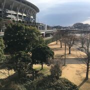 横浜市最大のスポーツ総合公園