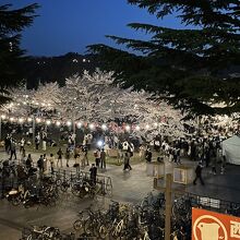 広瀬川に沿うように南北に広い仙台市街地西の端の公園 By あいまいみー 西公園のクチコミ フォートラベル