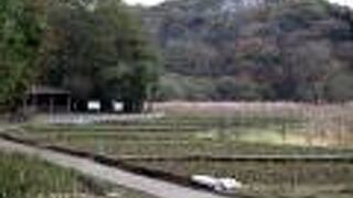 完全なオフシーズンでもちょっと人影が・・・。