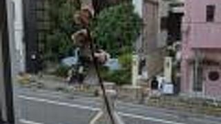 トリトンカフェ