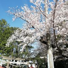 稲荷神社 (和田稲荷神社)