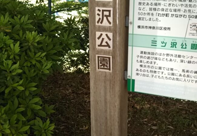 三ツ沢公園 クチコミ アクセス 営業時間 東神奈川 保土ヶ谷 弘明寺 フォートラベル