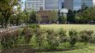 公園内に聳え立つ