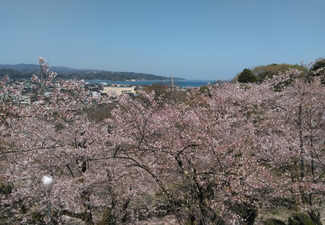 展望台が無くなっていました。