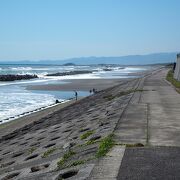 海水浴には向かない