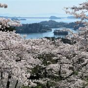 松島湾＋満開の桜の風景が同時に楽しめました