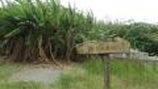 はっきりとしたものは