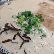 元祖泡系