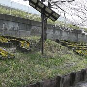 自然豊かな公園（なのに駅から徒歩圏）